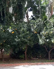 Casa Assuntina - Image 4