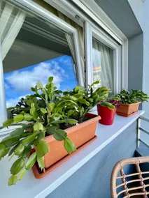 Spaciousness and comfort in Marín - Image 5