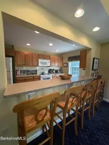 Comfortable Berkshires retreat on mtn resort, SISO - Image 4