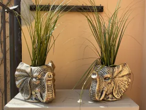 AnyHome - Oasis in the city - Image 5