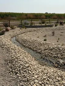 Maple Creek - Image 5