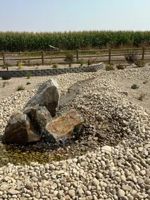 Maple Creek - Image 4