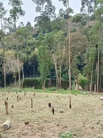 Santa Rita Farm - Image 5