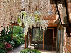Narang House Experience Serenity - Image 5