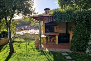 House among the olive trees - Image 3