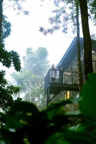 LushEarth Glass house homestay in Wayanad - Image 3