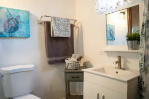 #11 Standard Studio, Ocean Color - Image 5