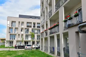 FLH - Apartament Central Silva - Image 3