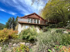 Chalet des roches - Plainfaing - Image 1