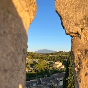 View of the Dentelles de Montmirail range - Image 5