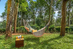 Luxury 5BR Villa w/ Steam & Sauna Wayanad - Image 4