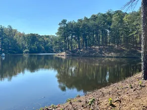Serenity at Little River Canyon - Image 4