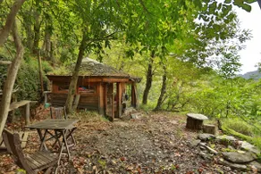 Small cabin in the woods - Image 2
