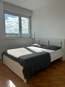 Danube View - Image 4