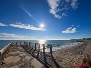 The Horizon - Image 3