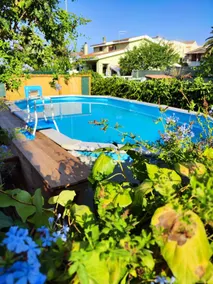 The Snail House - Image 2