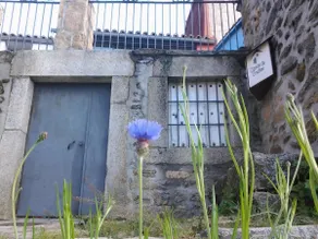 To the patio - Image 3