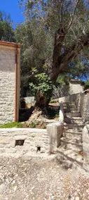 Chrisanthi's Cottage - Image 4