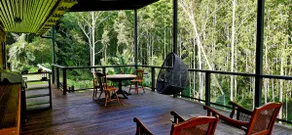 Bushsong Cottage forest retreat - Image 2