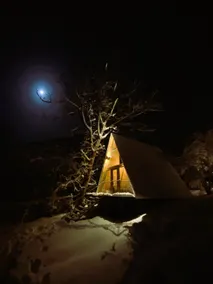 Wonderwood Borjomi Cottage - Image 3