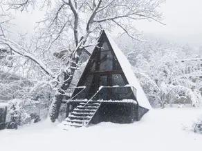 Wonderwood Borjomi Cottage - Image 2