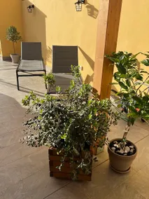 Nela's Terrace - Image 3