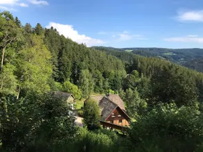 Vacation at the Gibbesbachhof - Image 2