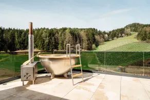 Chalet "Troadkostn" mit finnischer Panoramasauna & Edelstahl Hot Tub - Image 4