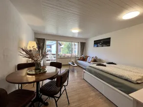 Saas-Fee Panorama Studio - Image 4