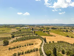 ”Polverina” apartment 4 pax | 60 sqm - Image 3
