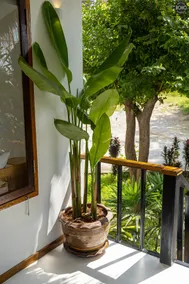 BOHO Boutique Bungalows - Image 5