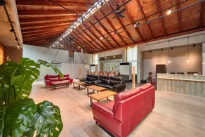 [Former Art Museum] 2500 ㎡ completely private space/up to 19 people/sauna/BBQ/fire pit - Image 5
