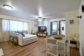 103 Beach Style 1 Bedroom Apt - Image 3