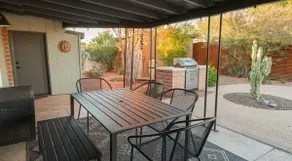 The Velvet Mesquite - Image 4