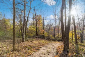 The Roseville Ridge Retreat - Image 5
