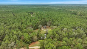 Couples Forest Getaway w/Pond - Image 2