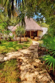 1-bedroom villa in the jungle - Image 2
