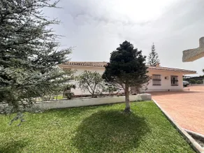 Villa Los Gallos - Image 3