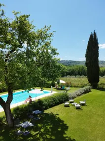 Among Vineyards and Nature - Image 4