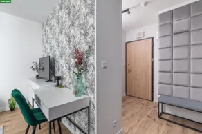 Blossom Every Day - Image 3