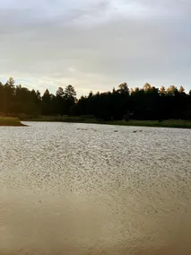 Dog Friendly Gated Cabin by Lake on Golf Course - Image 4