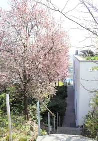 Villa Noomi - Image 4