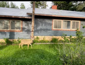 Crossroads Cabin - Image 2