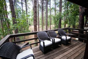 Private - Amidst The Forest - Image 5
