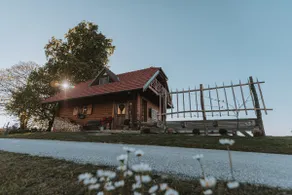 Dežno Log Cabin - Image 5