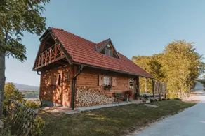 Dežno Log Cabin - Image 2