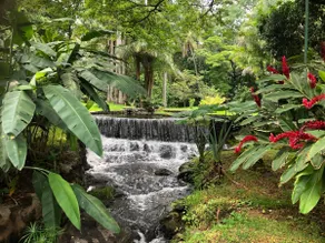 Thermal Paradise Villa - Image 2