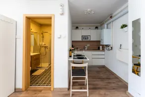 Studio apartman QUEEN apartmani Borik - Image 4