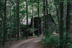 Forest House | A Modern Mountain Retreat - Image 5
