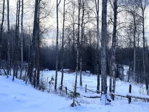 AK Tranquil Beauty:R&R & Explore - Image 4